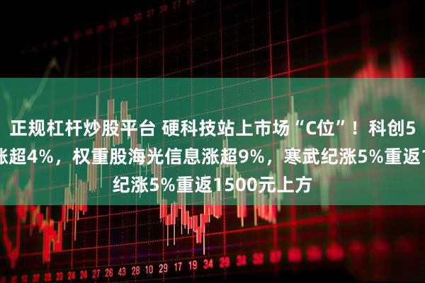 正规杠杆炒股平台 硬科技站上市场“C位”！科创50指数盘中涨超4%，权重股海光信息涨超9%，寒武纪涨5%重返1500元上方
