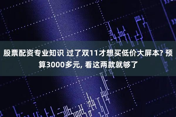 股票配资专业知识 过了双11才想买低价大屏本? 预算3000多元, 看这两款就够了