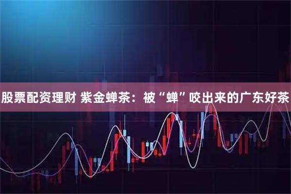 股票配资理财 紫金蝉茶：被“蝉”咬出来的广东好茶