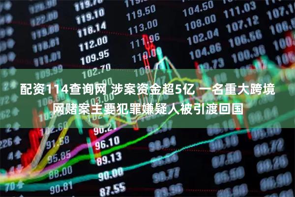 配资114查询网 涉案资金超5亿 一名重大跨境网赌案主要犯罪嫌疑人被引渡回国
